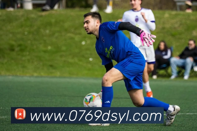 大三元官网平台登录全站App